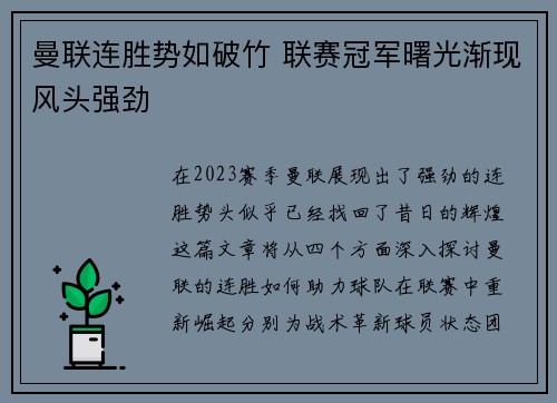 曼联连胜势如破竹 联赛冠军曙光渐现风头强劲