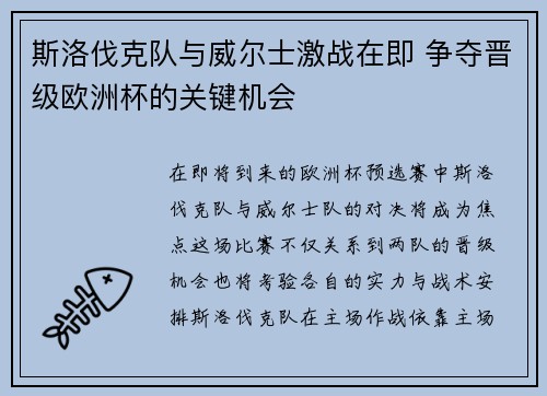 斯洛伐克队与威尔士激战在即 争夺晋级欧洲杯的关键机会