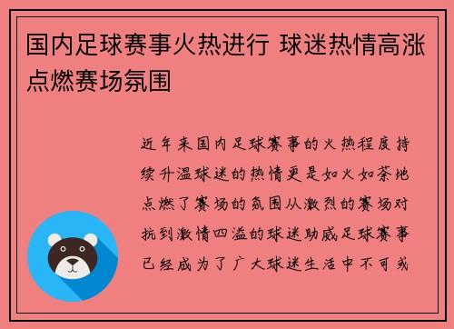 国内足球赛事火热进行 球迷热情高涨点燃赛场氛围