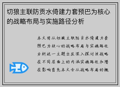 切狼主联防贡水倚建力套预巴为核心的战略布局与实施路径分析